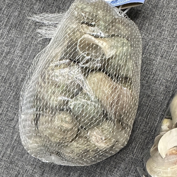 Assorted Seashell / pebble Collection - Picture 3 of 4